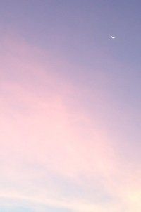 巴西男篮逆风斩浪：一场血性与智慧并存的胜利，挺进四强