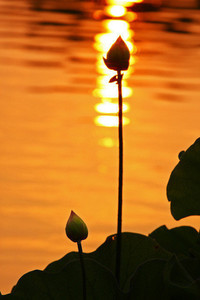 广州恒大战胜了对手，取得了一场重要胜利