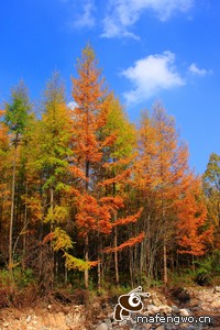 无解边线连环过人单刀斩杀抛投门下：场上致命一击训练营