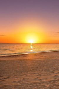 扣篮大赛精彩纷呈，震撼全场