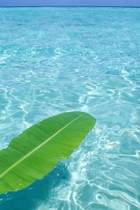 雷加利斯赢得惊险胜利，实力有看点