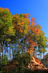 巴黎圣日耳曼逼平蒙彼利埃，保持不败