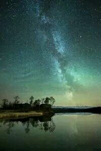 俄罗斯体操选手精彩表现，斩获金牌