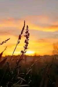 赫塔费开门黑，重返胜利轨道