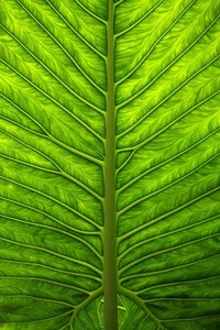 热火队客场逆转奇才队，取得两连胜